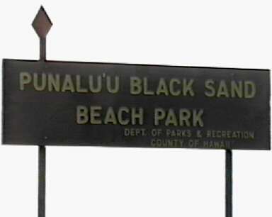 Punalu'u Black Sand Beach.