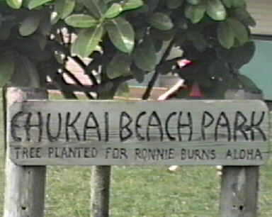 Ehukai Beach, home of the internationally known 'Pipeline Masters' surfing competition.